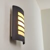 Outdoor Wall Light Alslev anthracite, 1-light source