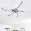 Saskatoon ceiling light LED matt nickel, 5-light sources