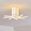 Bangor Ceiling Light LED white, 1-light source