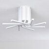 Bangor Ceiling Light LED white, 1-light source