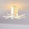 Bangor Ceiling Light LED white, 1-light source