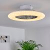 PETROVAC ceiling fan LED chrome, white, 1-light source, Remote control