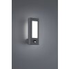 Trio RHINE Outdoor Wall Light LED anthracite, 2-light sources, Motion sensor