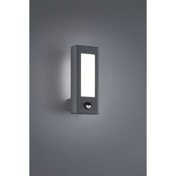 Trio RHINE Outdoor Wall Light LED anthracite, 2-light sources, Motion sensor