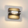 Blanchard Outdoor Wall Light LED matt nickel, black, 1-light source