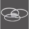Paul Neuhaus Q-KATE Ceiling Light LED silver, 3-light sources, Remote control