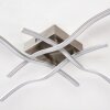 KOSOLA ceiling light LED matt nickel, 4-light sources