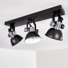 Ceiling Light Gudo black, 3-light sources