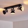 Ceiling Light Gudo black, 3-light sources