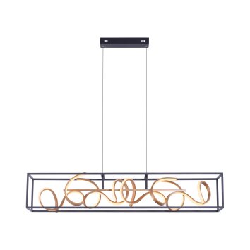 Paul Neuhaus SELINA Pendant Light LED black, 4-light sources