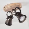 SKODSBOL Ceiling Light anthracite, Light wood, 2-light sources