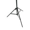 Steinhauer MEXLITE Floor Lamp black, 1-light source