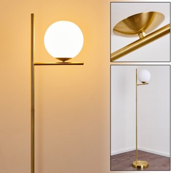HOGATZA Floor Lamp brass, 1-light source