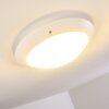 Grafton outdoor ceiling light white, 2-light sources