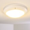 Grafton outdoor ceiling light white, 2-light sources