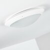 Grafton outdoor ceiling light white, 2-light sources
