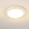 Grafton outdoor ceiling light white, 2-light sources