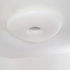 JELSA Ceiling light white, 1-light source