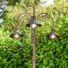 Outdoor floor lamp Lohja rust-coloured, 3-light sources
