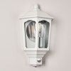 Brissago Outdoor Wall Light white, 1-light source, Motion sensor