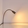 ALSEA Bedside lamp LED matt nickel, 1-light source, Motion sensor