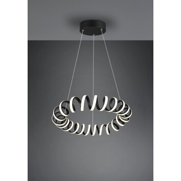 Trio CURL Pendant Light LED black, 1-light source