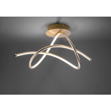 Leuchten-Direkt VIOLETTA Ceiling light LED gold, 1-light source