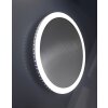 Lutec MOON Wall Light silver, 1-light source