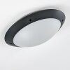 Grafton outdoor ceiling light anthracite, 2-light sources
