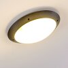 Grafton outdoor ceiling light anthracite, 2-light sources