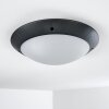 Grafton outdoor ceiling light anthracite, 2-light sources