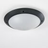 Grafton outdoor ceiling light anthracite, 2-light sources