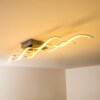 Coquitlam ceiling light LED matt nickel, 1-light source
