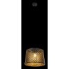 Globo SAMBESI Pendant Light black, 1-light source