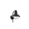 Eglo COLINDRES 1 Wall Light black, 1-light source