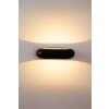 Globo RINAH outdoor wall light LED anthracite, 1-light source