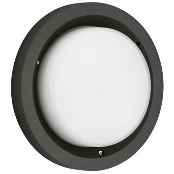 Albert 6410 Outdoor Ceiling Light LED black, 1-light source