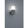 Trio HOOSIC Outdoor Wall Light anthracite, 1-light source, Motion sensor