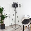 Antalya Floor Lamp black, 1-light source