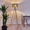 Antalya Floor Lamp black, 1-light source