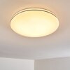 GENTHIN Ceiling light LED white, 1-light source