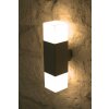Trio HUDSON outdoor wall lamp stainless steel, 2-light sources
