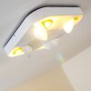 Granada ceiling spotlight LED white, 4-light sources