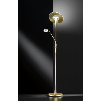 Trio-Leuchten Quebec Floor Lamp LED brass, 2-light sources