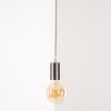 Cispus Pendant Light matt nickel, 1-light source