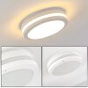 Wollongong outdoor ceiling light LED white, 1-light source