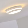 Wollongong outdoor ceiling light LED white, 1-light source