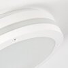 Wollongong outdoor ceiling light LED white, 1-light source