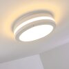 Wollongong outdoor ceiling light LED white, 1-light source