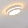Wollongong outdoor ceiling light LED white, 1-light source